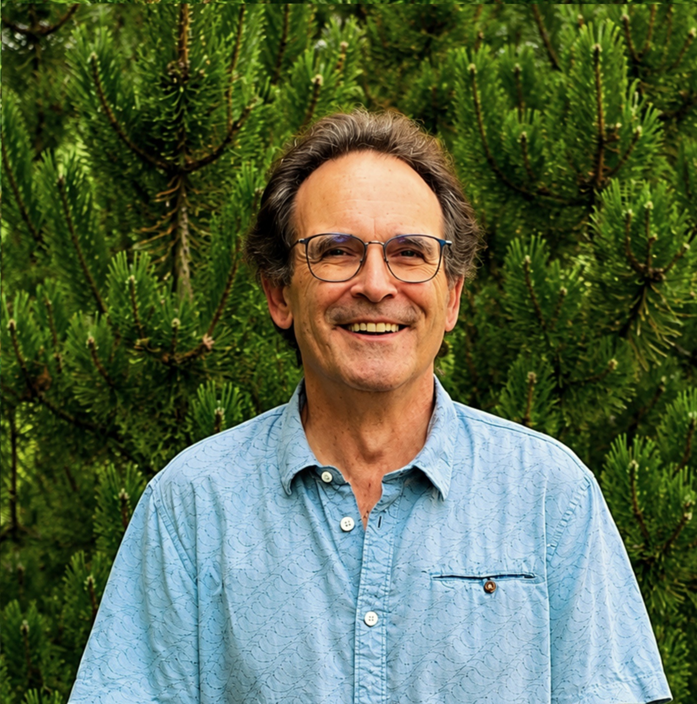 Daniel Fava