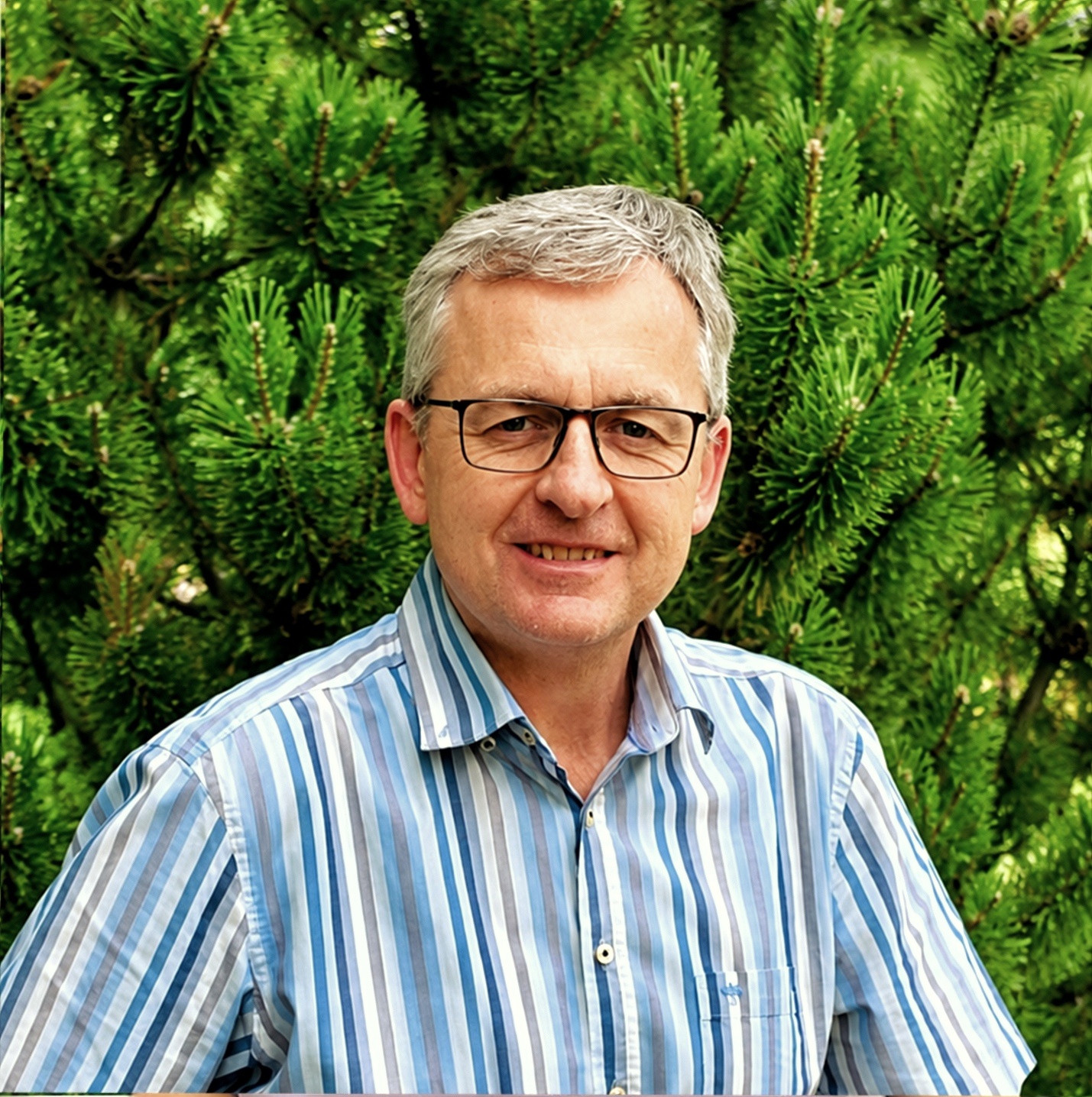 Marco Girardi